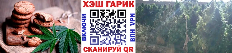 купить   KRAKEN как войти  Canna-Cookies марихуана  Реутов 