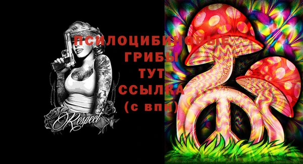 Альфа ПВП Балахна