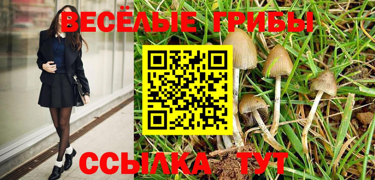 Галлюциногенные грибы мицелий  Псилоцибиновые грибы Psilocybine cubensis  Реутов  Вход с VPN 