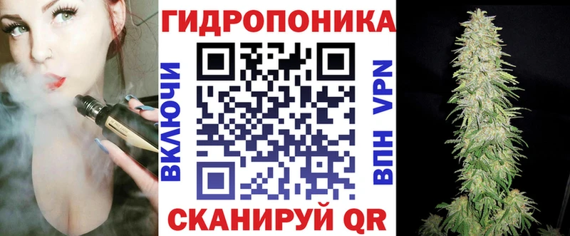 Марихуана SATIVA & INDICA  закладка  Реутов 